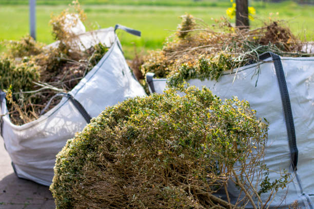 Best Construction Debris Removal  in Ferron, UT